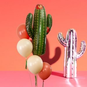 Cactus Balloon Bouquet – Coral